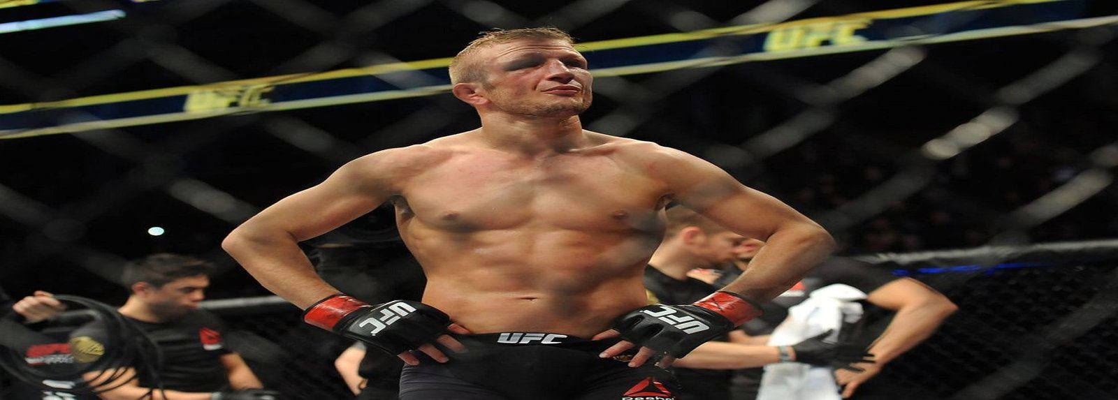 Dillashaw hipocresia