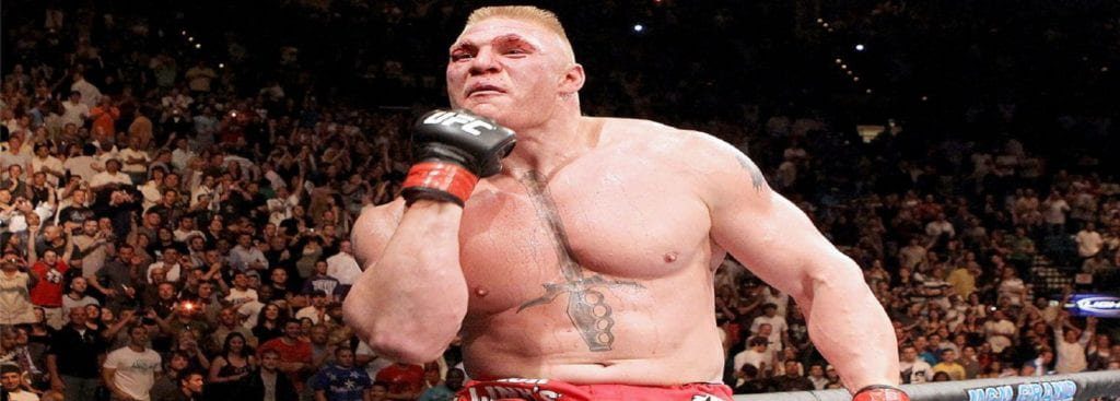 Brock Lesnar Cover
