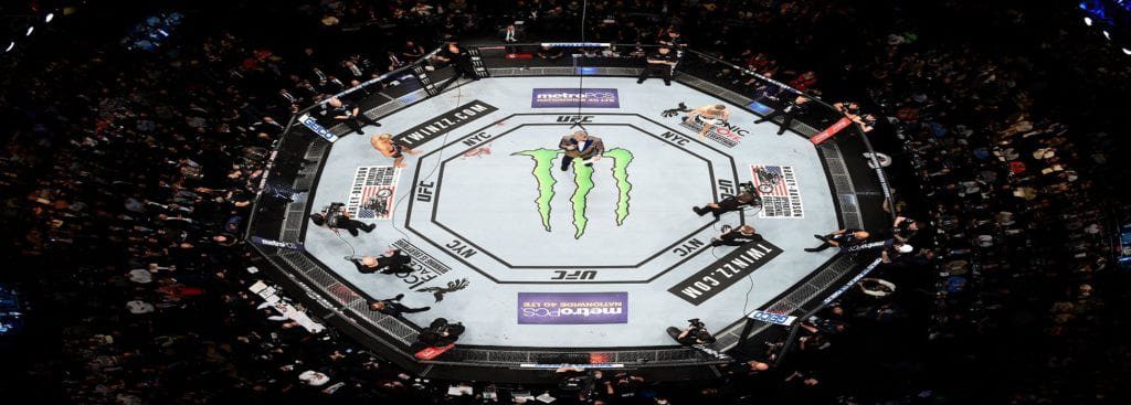 UFC octagon above