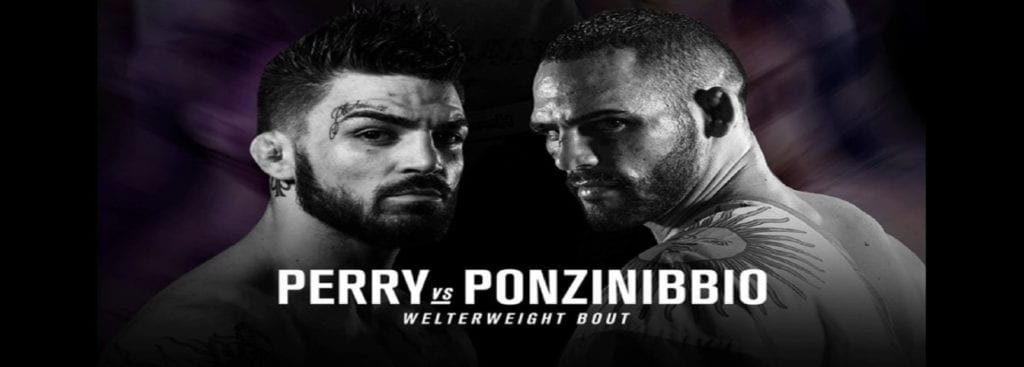 Cloroformo Ponzinibbio vs Perry