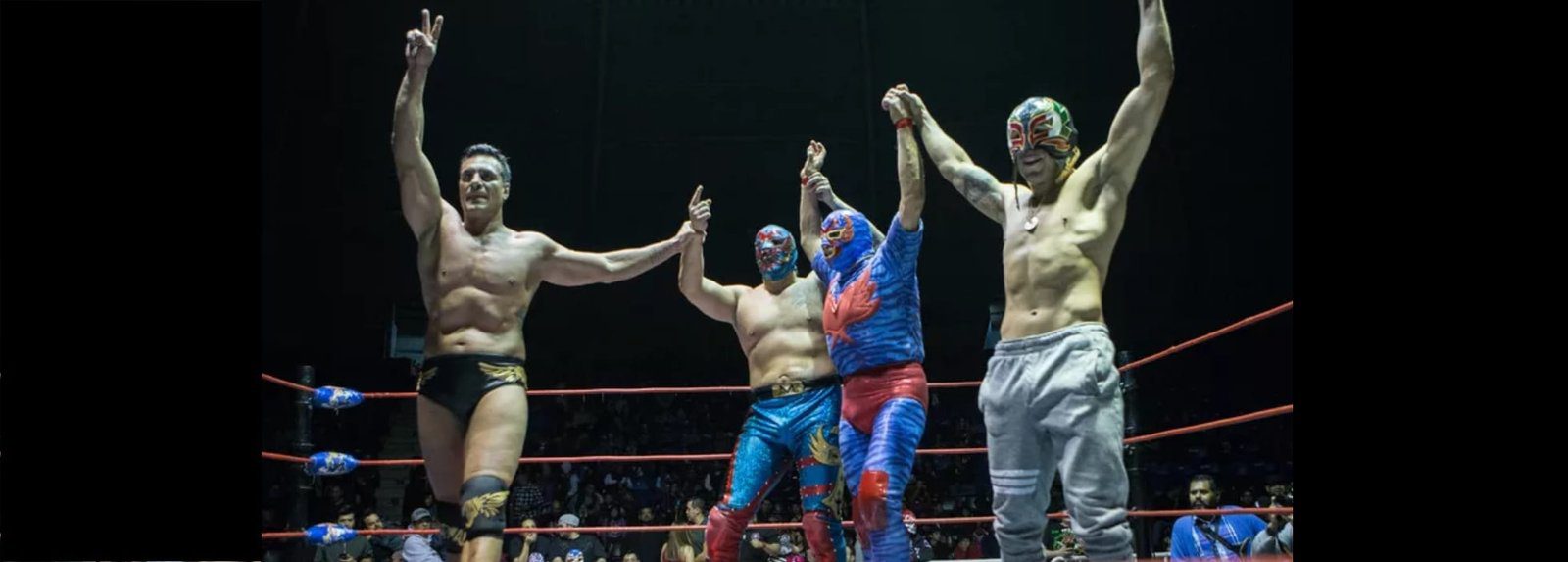 Goyito lucha libre