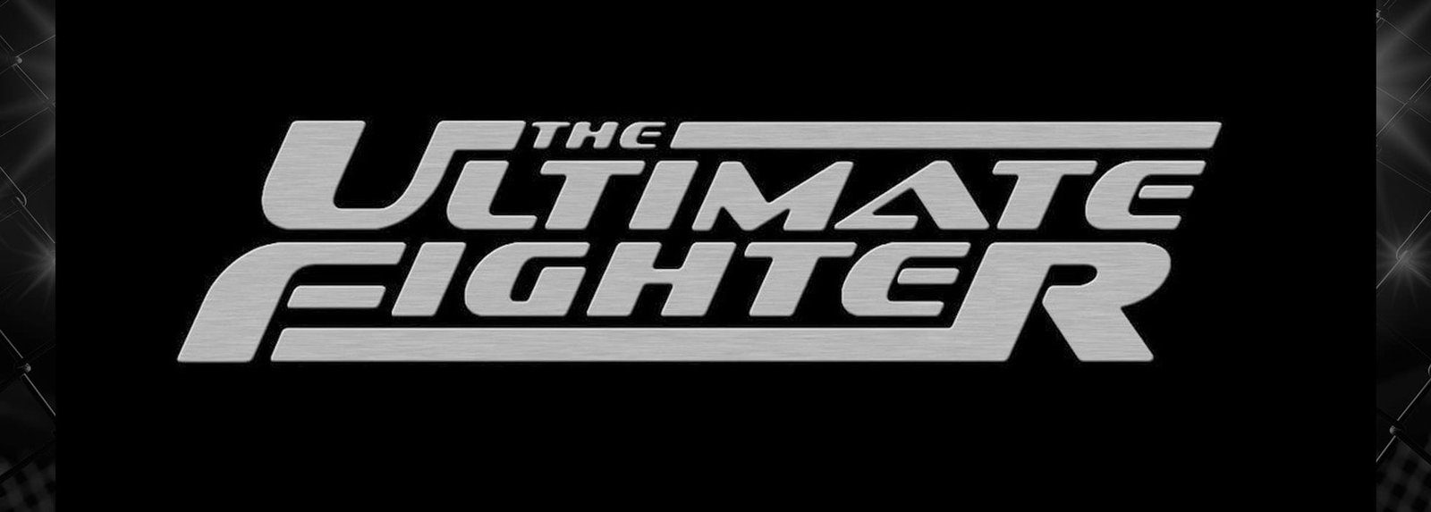 Ultimate Fighter 28
