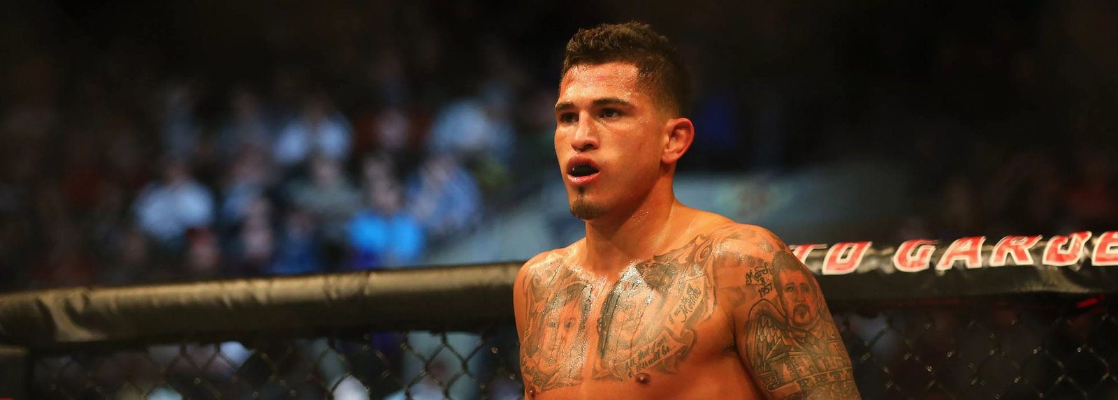 Anthony Pettis UFC 229