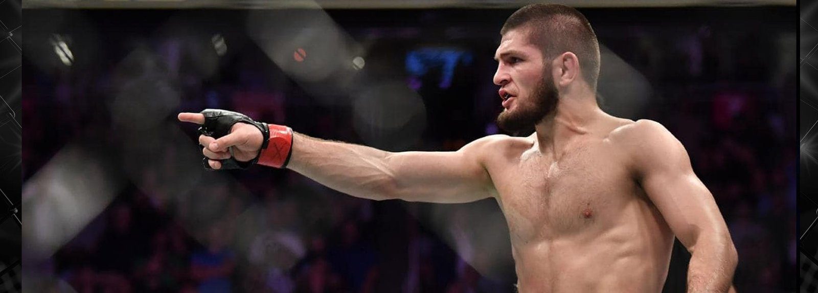 Khabib culpa