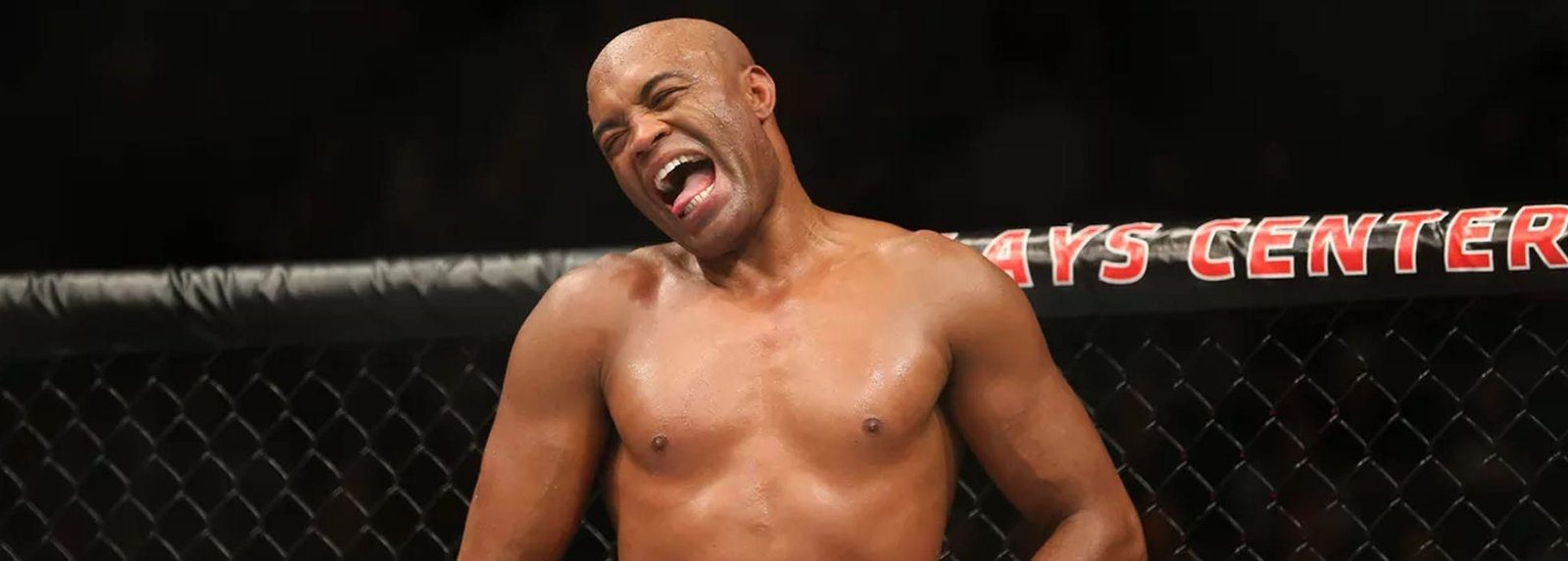 Anderson Silva