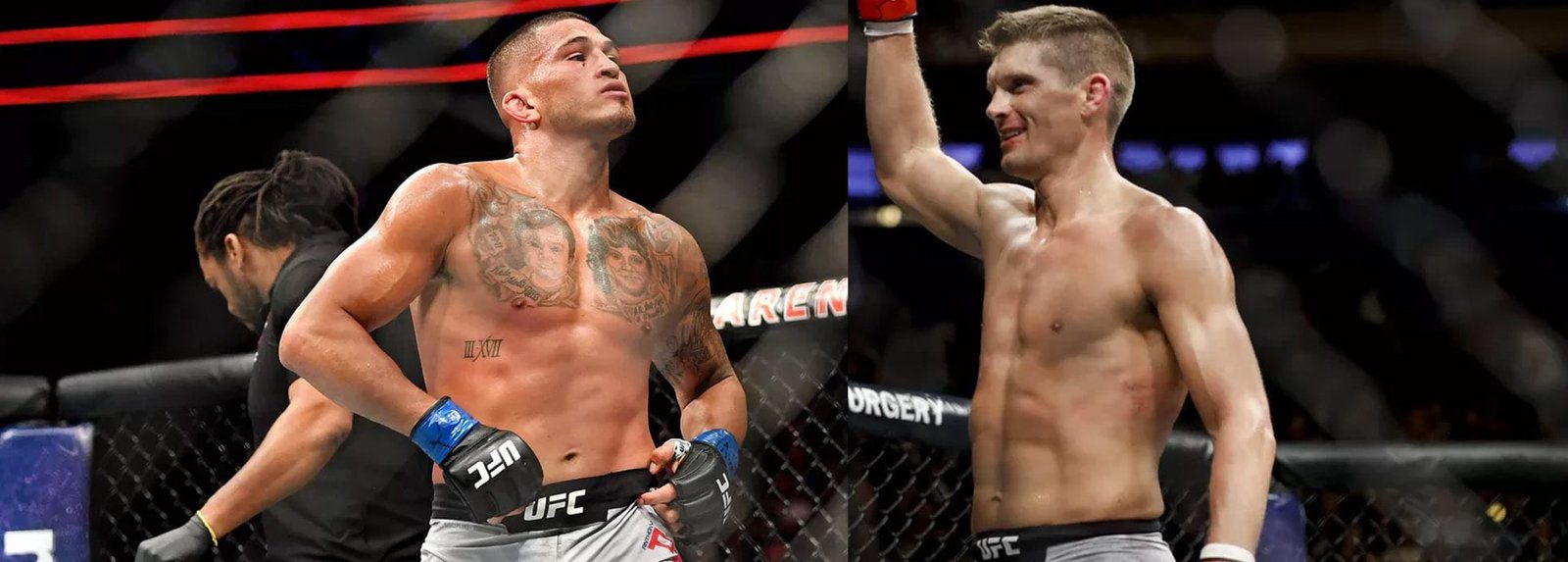 Pettis Wonderboy