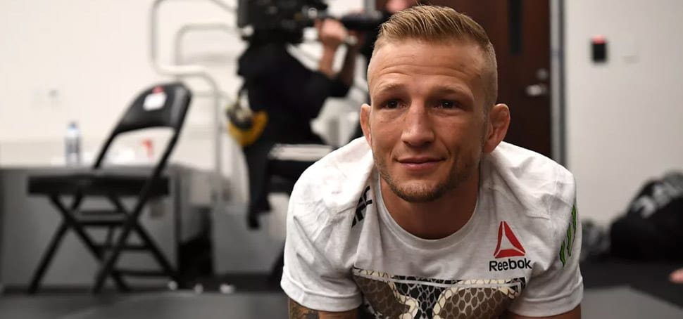 Dillashaw campeón