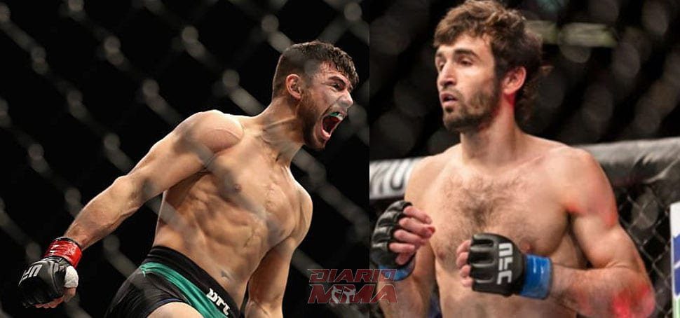 Yair bolas Zabit Diario MMA