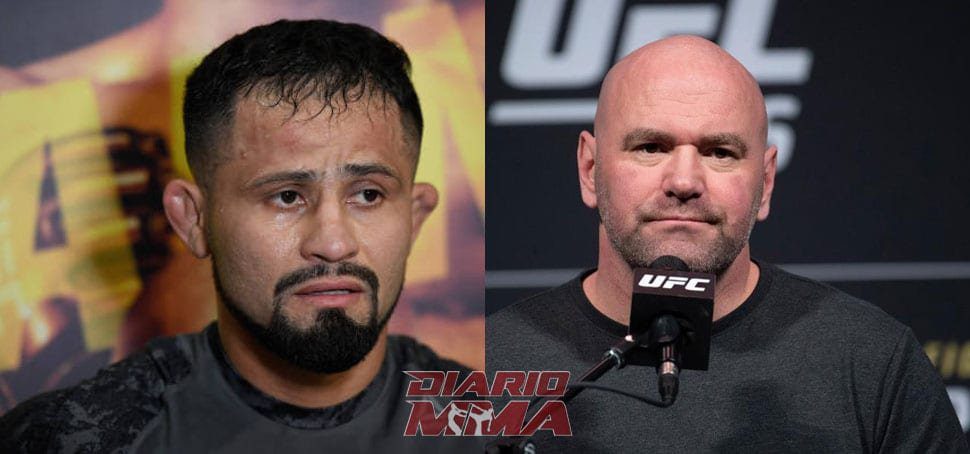 Formiga Despidos UFC Dana White Diario MMA