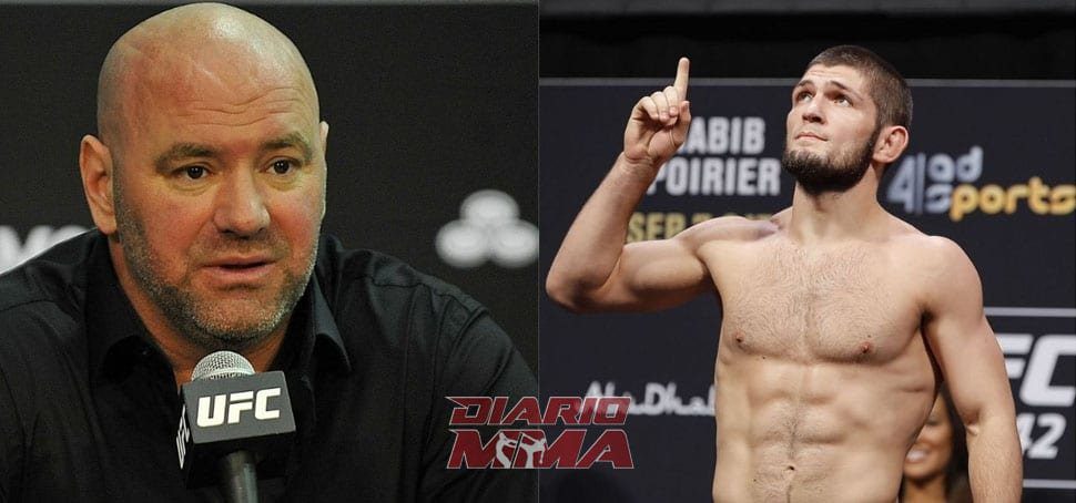 Dana White Khabib