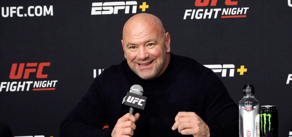 Dana White despidos