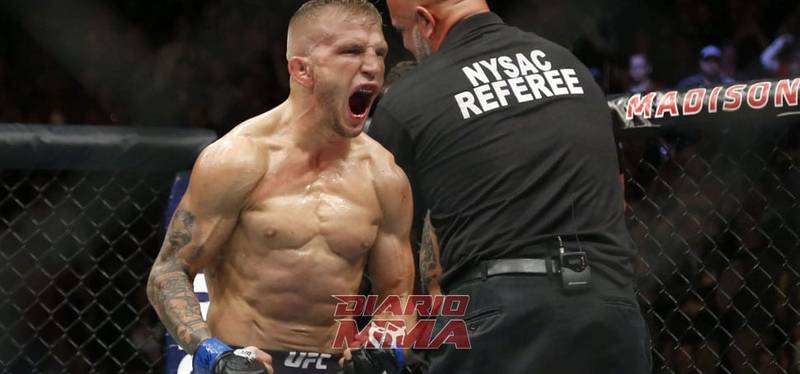 Dillashaw responde