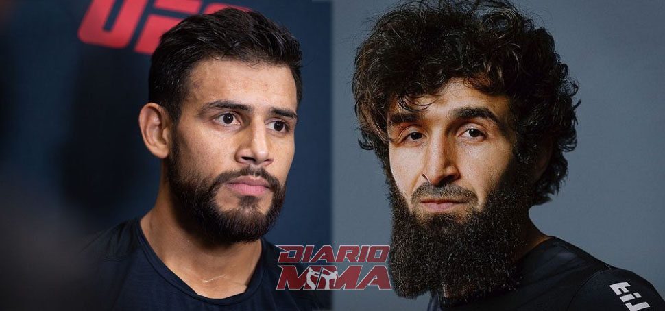 Yair Rodriguez Zabit Magomedsharipov Diario MMA