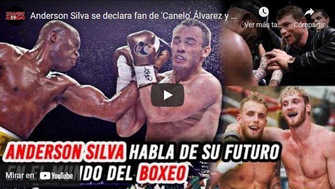 Anderson Silva box