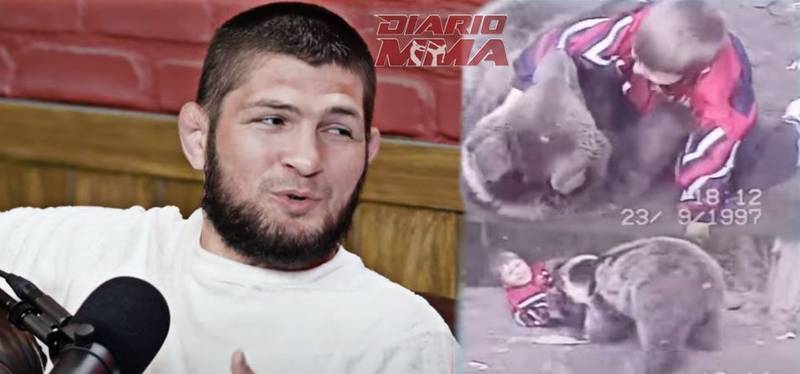 Khabib Bear Oso Diario MMA