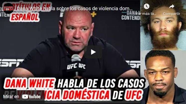 Dana White violencia doméstica