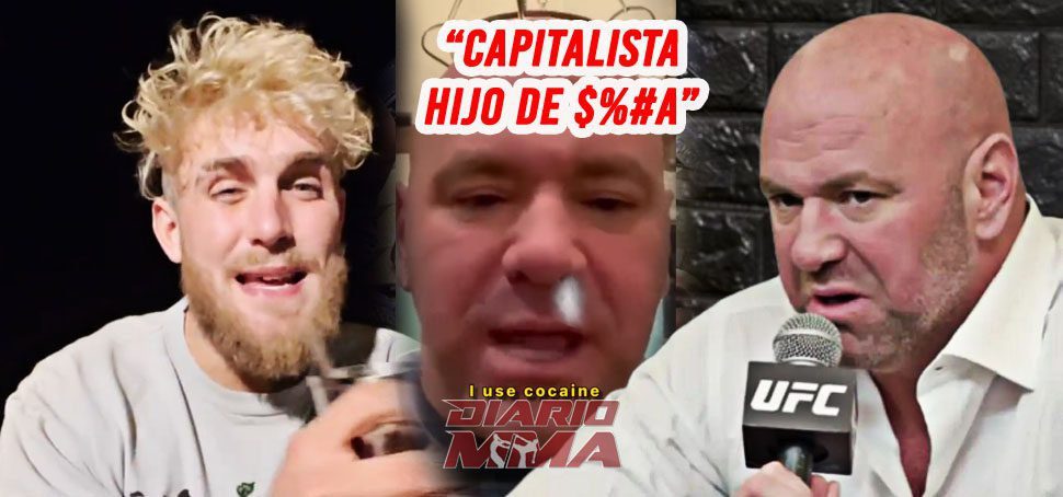 Jake Paul responde a Dana White reto