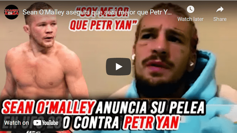 Petr Yan Sean O'Malley