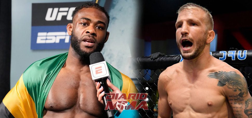 Aljamain Sterling TJ Dillashaw